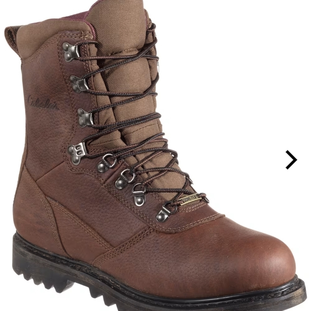 Cabela's Men's Brown Leather Hiking Boots